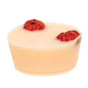 Pumpkin Spice Botanical Wax Tart - 2 oz.