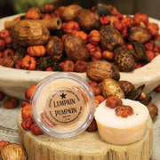 Lumpkin Pumpkin Botanical Wax Tart - 2 oz.