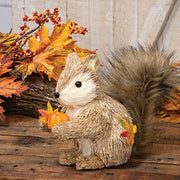 Sisal Fall Squirrel