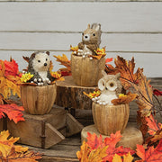 Fall Woodland Animal Sitter  (3 Count Assortment)
