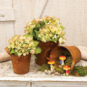 Rusty Tin Pails with Handles (Set of 3)