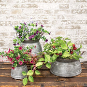 Graywashed Galvanized Squat Buckets with Handles (Set of 3)