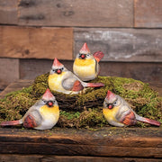 Resin Female Cardinal (4 Count Assortment)