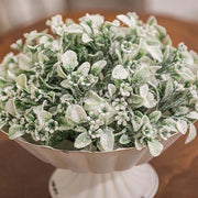 Frosted Fantasy Boxwood Half Sphere - 8"