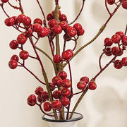 Winter Gooseberry Spray - 26"