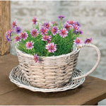 Willow Cup and Saucer