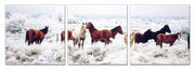 24' Multicolor Canvas 3 Horizontal Panels Horses Photo