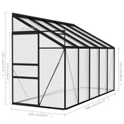 vidaXL Greenhouse Anthracite Aluminum 220 ft