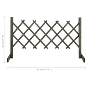 vidaXL Garden Trellis Fence Gray 47.2"x23.6" Solid Firwood