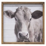 Farm Animal Portrait Frame (3 Count Assortment)