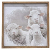Farm Animal Portrait Frame (3 Count Assortment)