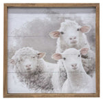 Farm Animal Portrait Frame (3 Count Assortment)