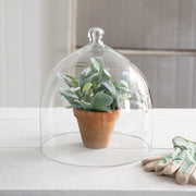 Large Glass Bell Shaped Cloche