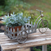 Tabletop Trike Flower Cart