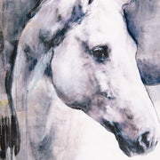 White Stallion Wall Art