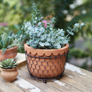 Chicken Wire Caddy with Scalloped Terra Cotta Pot