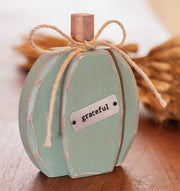 Teal Chunky Grateful Pumpkin Sitter