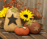 Stiffened Pumpkin with Star