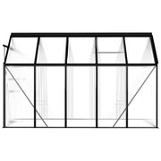 Greenhouse Anthracite Aluminum 63.4 ft