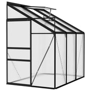 Greenhouse Anthracite Aluminum 134.2 ft