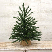 Pine Tree with Burlap Base - 2ft