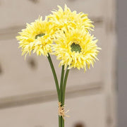 Triple Gerbera Daisy Bouquet - Light Yellow