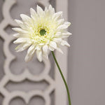 Blooming Daisy Stem - White