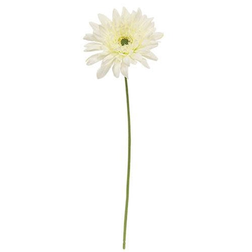 Blooming Daisy Stem - White