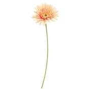 Blooming Daisy Stem - Dark Pink