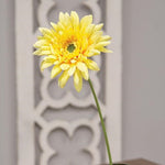 Blooming Daisy Stem - Dark Yellow