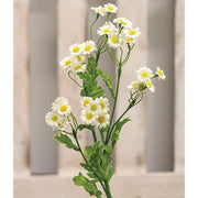 Chamomile Flower Spray - White