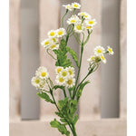 Chamomile Flower Spray - White