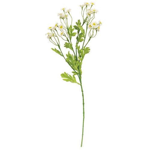 Chamomile Flower Spray - White