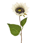 Blooming Sunflower Stem - White