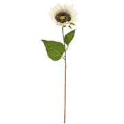 Blooming Sunflower Stem - White
