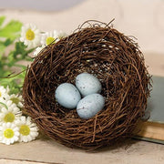 Vine Robin's Nest with Blue Eggs