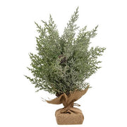 Frosted Woodland Cedar Tree - 15"