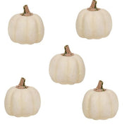 Mossy Stem Cream Pumpkins (Set of 5)