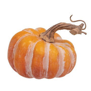 Orange Pumpkins in Bag (Set of 5)