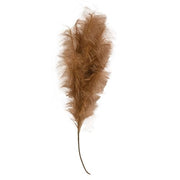 Weeping Pampas Grass Branch - Brown