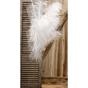 Weeping Pampas Grass Branch - White