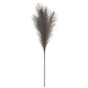 Pampas Grass Pick - 28" - Gray