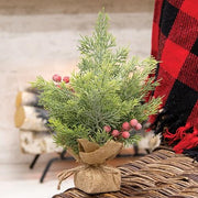 Mini Sugar Berry Pine Tree with Burlap Base - 12"H