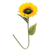 Giant Sunflower Stem