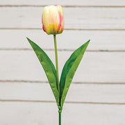 Champagne Tulip Stem - 17.5"