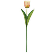 Champagne Tulip Stem - 17.5"