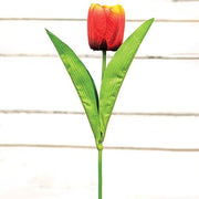 Sunset Tulip Stem - 17.5"