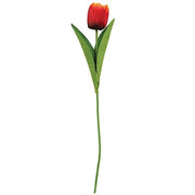 Sunset Tulip Stem - 17.5"