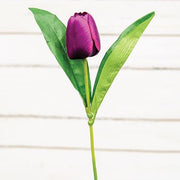 Purple Tulip Stem - 17.5"