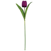 Purple Tulip Stem - 17.5"